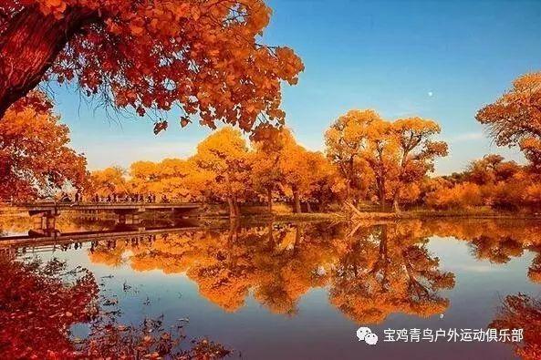 智能马桶内灯一直亮怎么办？游戏画面